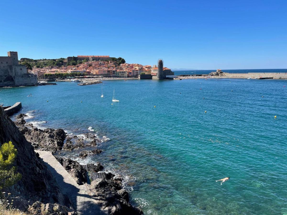 Fenetre Sur Collioure Apartment Екстериор снимка